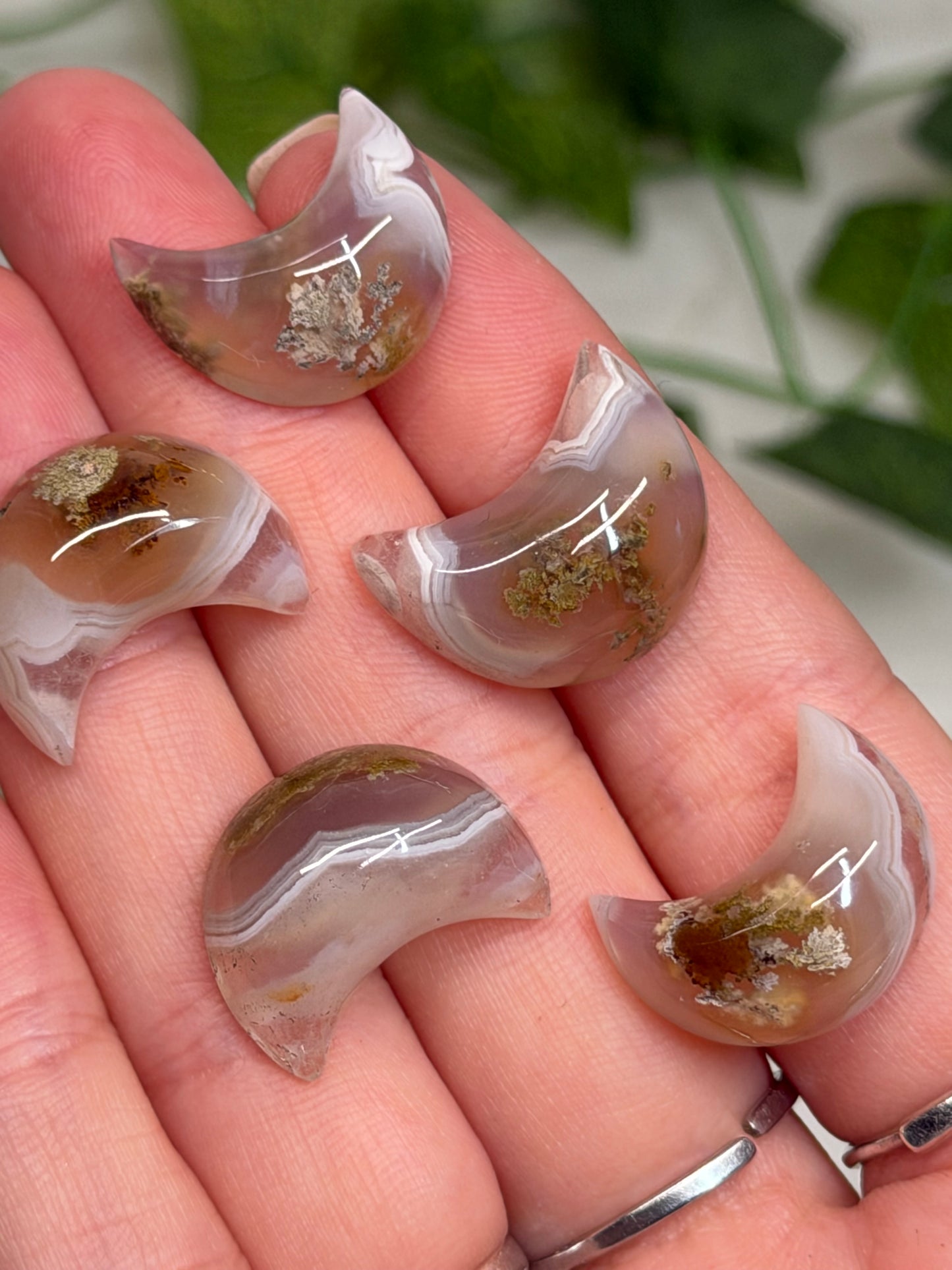 Scenic Moss Agate Moons