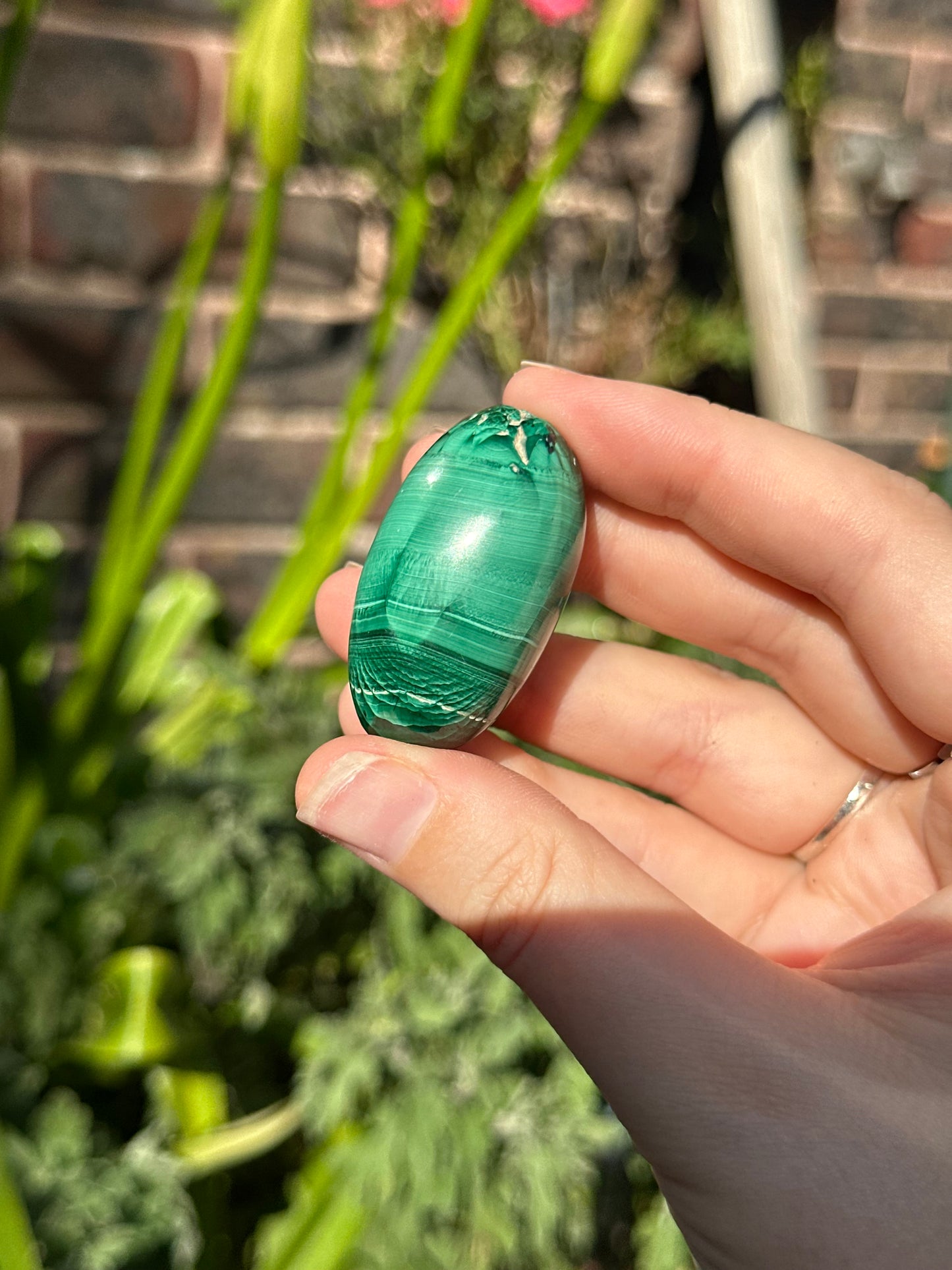 Malachite Shivas