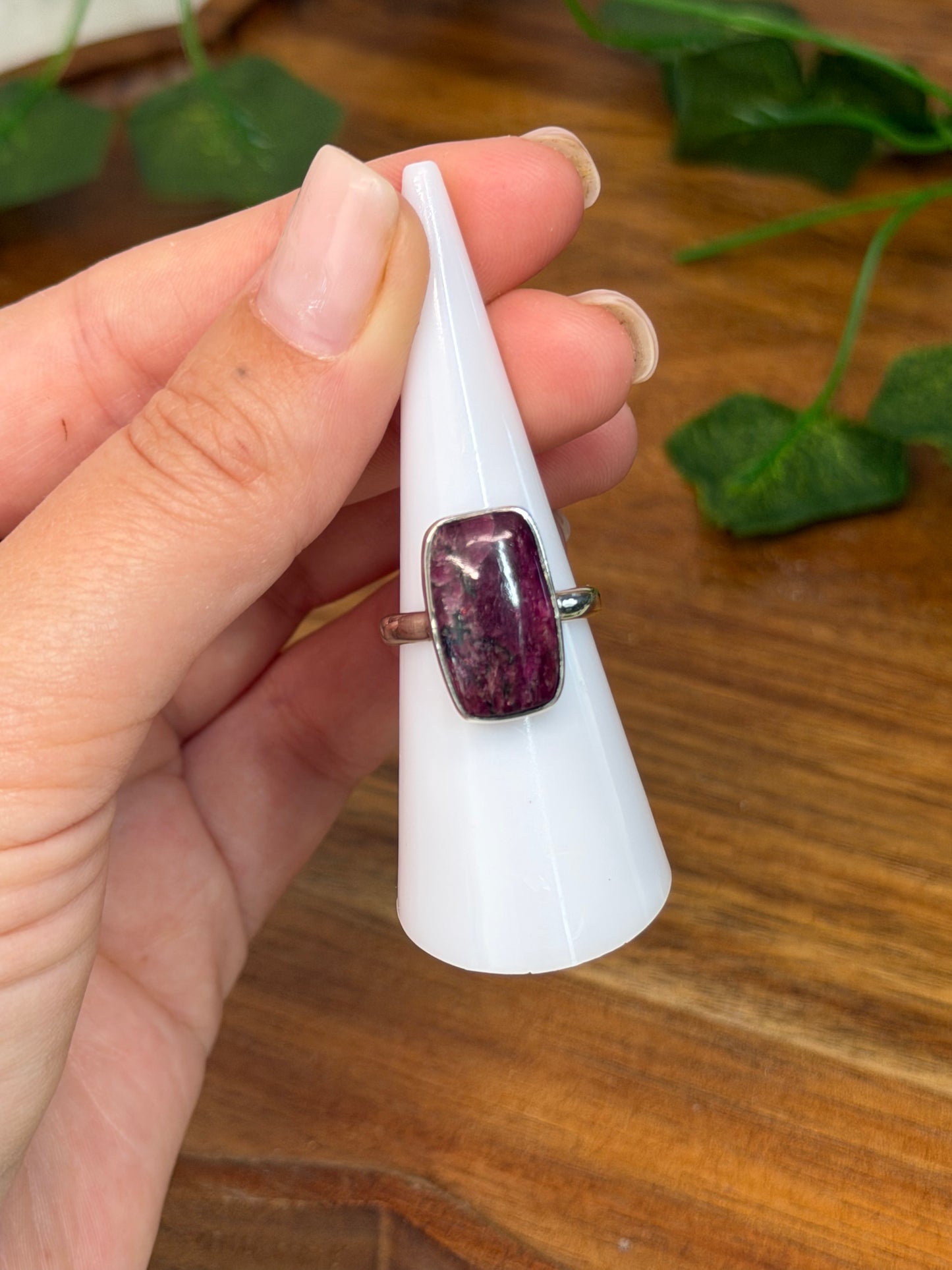Eudyalite Ring Size M (925 Sterling Silver)